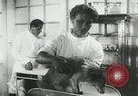 Immagine di Spazio sovietica la ricerca utilizzando i canini Unione Sovietica, 1957, secondo 14 filmato di repertorio 65675067229