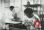 Immagine di Spazio sovietica la ricerca utilizzando i canini Unione Sovietica, 1957, secondo 19 filmato di repertorio 65675067229