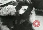Immagine di Spazio sovietica la ricerca utilizzando i canini Unione Sovietica, 1957, secondo 23 filmato di repertorio 65675067229