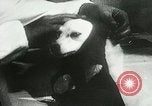 Immagine di Spazio sovietica la ricerca utilizzando i canini Unione Sovietica, 1957, secondo 24 filmato di repertorio 65675067229