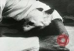 Immagine di Spazio sovietica la ricerca utilizzando i canini Unione Sovietica, 1957, secondo 26 filmato di repertorio 65675067229