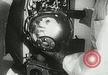 Immagine di Spazio sovietica la ricerca utilizzando i canini Unione Sovietica, 1957, secondo 42 filmato di repertorio 65675067229