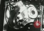 Immagine di Spazio sovietica la ricerca utilizzando i canini Unione Sovietica, 1957, secondo 44 filmato di repertorio 65675067229
