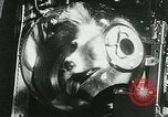 Immagine di Spazio sovietica la ricerca utilizzando i canini Unione Sovietica, 1957, secondo 49 filmato di repertorio 65675067229