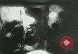 Image of canine research Soviet Union, 1957, second 46 stock footage video 65675067230