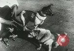 Image of Soviet space research with canines Soviet Union, 1957, second 3 stock footage video 65675067231