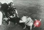 Image of Soviet space research with canines Soviet Union, 1957, second 8 stock footage video 65675067231