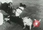 Image of Soviet space research with canines Soviet Union, 1957, second 10 stock footage video 65675067231