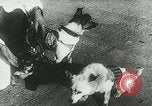Image of Soviet space research with canines Soviet Union, 1957, second 11 stock footage video 65675067231