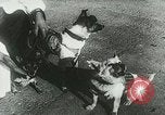 Image of Soviet space research with canines Soviet Union, 1957, second 12 stock footage video 65675067231