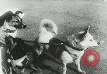 Image of Soviet space research with canines Soviet Union, 1957, second 15 stock footage video 65675067231