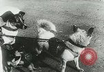 Image of Soviet space research with canines Soviet Union, 1957, second 16 stock footage video 65675067231