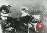 Image of Soviet space research with canines Soviet Union, 1957, second 18 stock footage video 65675067231
