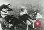 Image of Soviet space research with canines Soviet Union, 1957, second 19 stock footage video 65675067231