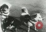 Image of Soviet space research with canines Soviet Union, 1957, second 21 stock footage video 65675067231