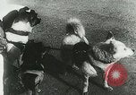 Image of Soviet space research with canines Soviet Union, 1957, second 24 stock footage video 65675067231