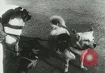 Image of Soviet space research with canines Soviet Union, 1957, second 27 stock footage video 65675067231
