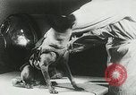 Image of Soviet space research with canines Soviet Union, 1957, second 35 stock footage video 65675067231