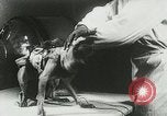 Image of Soviet space research with canines Soviet Union, 1957, second 37 stock footage video 65675067231