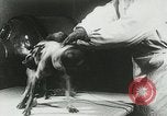Image of Soviet space research with canines Soviet Union, 1957, second 38 stock footage video 65675067231