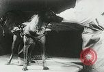 Image of Soviet space research with canines Soviet Union, 1957, second 44 stock footage video 65675067231