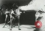 Image of Soviet space research with canines Soviet Union, 1957, second 46 stock footage video 65675067231