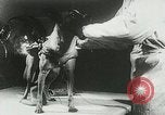 Image of Soviet space research with canines Soviet Union, 1957, second 49 stock footage video 65675067231