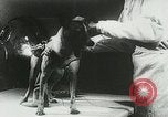 Image of Soviet space research with canines Soviet Union, 1957, second 50 stock footage video 65675067231