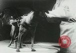 Image of Soviet space research with canines Soviet Union, 1957, second 51 stock footage video 65675067231