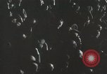 Image of Striking elevator workers New York City USA, 1936, second 25 stock footage video 65675067250