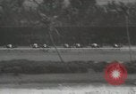 Image of Florida Derby Miami Florida USA, 1936, second 48 stock footage video 65675067255