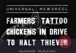 Standbild Tinte markieren beweist Huhn stehlen Georgetown Washington DC USA, 1936, aus Sekunde 10 historischem Filmmaterial Videoclip 65675067257