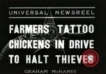 Standbild Tinte markieren beweist Huhn stehlen Georgetown Washington DC USA, 1936, aus Sekunde 11 historischem Filmmaterial Videoclip 65675067257