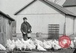 Standbild Tinte markieren beweist Huhn stehlen Georgetown Washington DC USA, 1936, aus Sekunde 12 historischem Filmmaterial Videoclip 65675067257