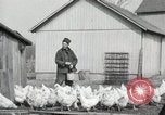 Standbild Tinte markieren beweist Huhn stehlen Georgetown Washington DC USA, 1936, aus Sekunde 13 historischem Filmmaterial Videoclip 65675067257