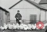 Standbild Tinte markieren beweist Huhn stehlen Georgetown Washington DC USA, 1936, aus Sekunde 14 historischem Filmmaterial Videoclip 65675067257