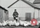 Standbild Tinte markieren beweist Huhn stehlen Georgetown Washington DC USA, 1936, aus Sekunde 15 historischem Filmmaterial Videoclip 65675067257