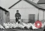 Standbild Tinte markieren beweist Huhn stehlen Georgetown Washington DC USA, 1936, aus Sekunde 16 historischem Filmmaterial Videoclip 65675067257