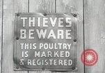Standbild Tinte markieren beweist Huhn stehlen Georgetown Washington DC USA, 1936, aus Sekunde 19 historischem Filmmaterial Videoclip 65675067257