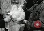 Standbild Tinte markieren beweist Huhn stehlen Georgetown Washington DC USA, 1936, aus Sekunde 29 historischem Filmmaterial Videoclip 65675067257