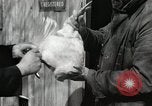 Standbild Tinte markieren beweist Huhn stehlen Georgetown Washington DC USA, 1936, aus Sekunde 30 historischem Filmmaterial Videoclip 65675067257