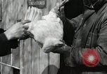 Standbild Tinte markieren beweist Huhn stehlen Georgetown Washington DC USA, 1936, aus Sekunde 31 historischem Filmmaterial Videoclip 65675067257