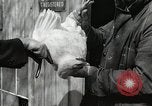 Standbild Tinte markieren beweist Huhn stehlen Georgetown Washington DC USA, 1936, aus Sekunde 33 historischem Filmmaterial Videoclip 65675067257