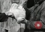Standbild Tinte markieren beweist Huhn stehlen Georgetown Washington DC USA, 1936, aus Sekunde 34 historischem Filmmaterial Videoclip 65675067257
