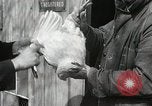 Standbild Tinte markieren beweist Huhn stehlen Georgetown Washington DC USA, 1936, aus Sekunde 36 historischem Filmmaterial Videoclip 65675067257