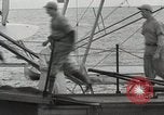 Image of Cincinnati Reds baseball team Miami Florida USA, 1936, second 22 stock footage video 65675067258