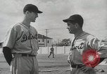 Image of Major League baseball teams in spring training Florida United States USA, 1935, second 49 stock footage video 65675067262