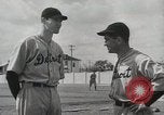 Image of Major League baseball teams in spring training Florida United States USA, 1935, second 50 stock footage video 65675067262