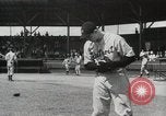 Image of Major League baseball teams in spring training Florida United States USA, 1935, second 51 stock footage video 65675067262