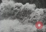 Image of Golden Gate Bridge United States USA, 1933, second 15 stock footage video 65675067264